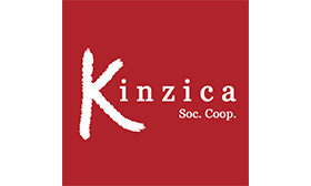 Kinzica