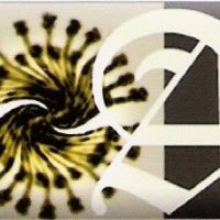 angelica_logo