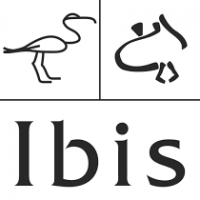 ibis_squared